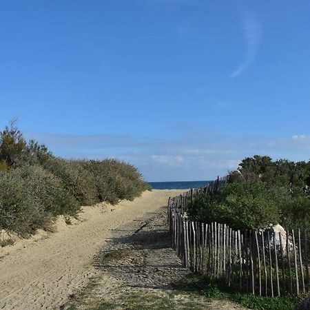 Les Goelettes - Appartement En Rdc Avec Acces Direct A La Plage Saint-Cyprien  Buitenkant foto