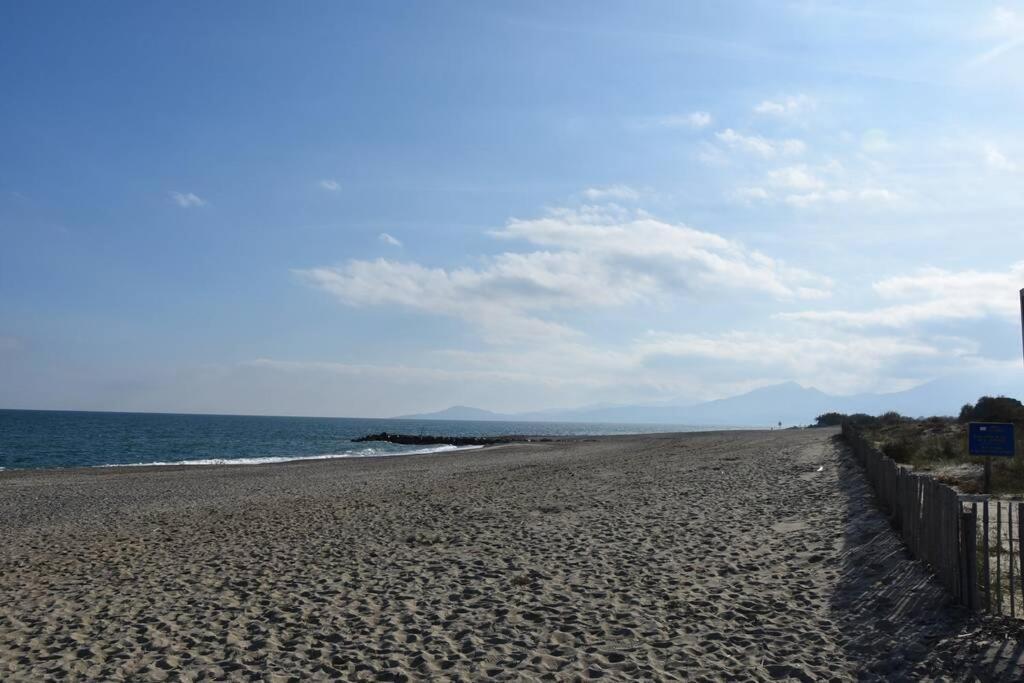 Les Goelettes - Appartement En Rdc Avec Acces Direct A La Plage Saint-Cyprien  Buitenkant foto