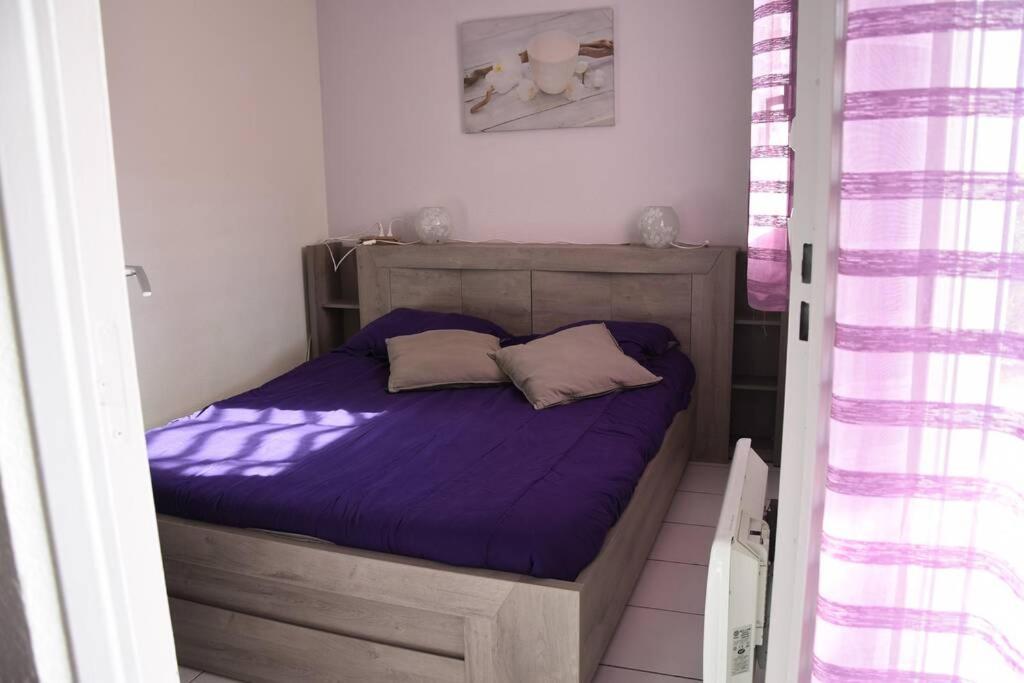 Les Goelettes - Appartement En Rdc Avec Acces Direct A La Plage Saint-Cyprien  Buitenkant foto