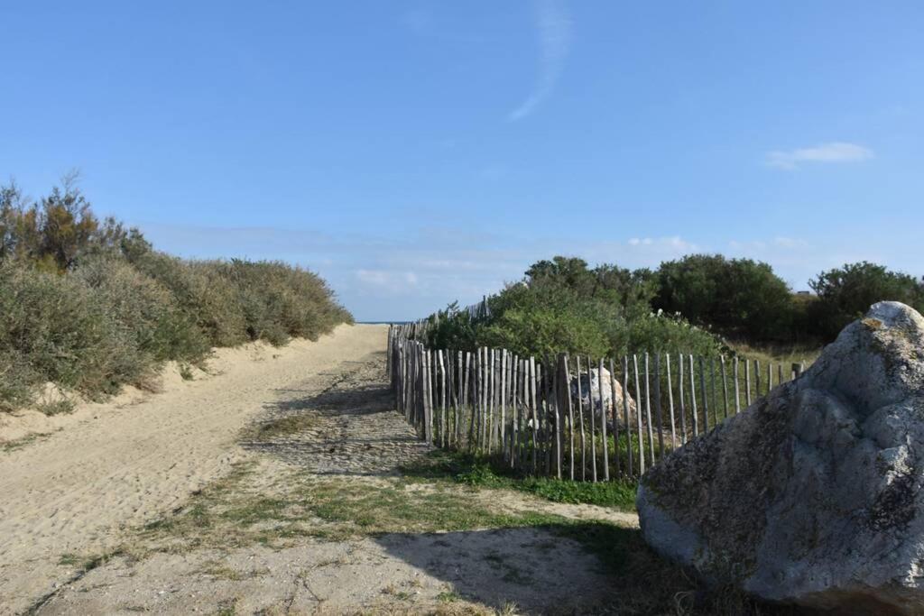 Les Goelettes - Appartement En Rdc Avec Acces Direct A La Plage Saint-Cyprien  Buitenkant foto