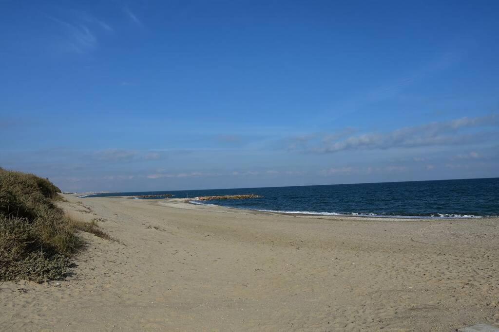 Les Goelettes - Appartement En Rdc Avec Acces Direct A La Plage Saint-Cyprien  Buitenkant foto