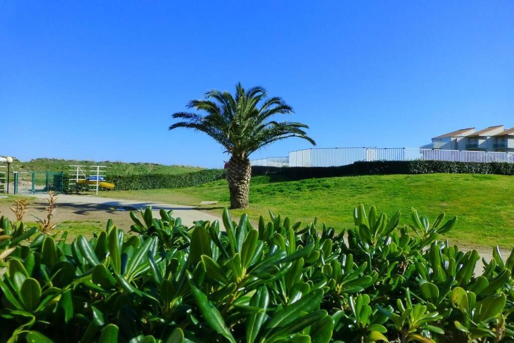 Les Goelettes - Appartement En Rdc Avec Acces Direct A La Plage Saint-Cyprien  Buitenkant foto