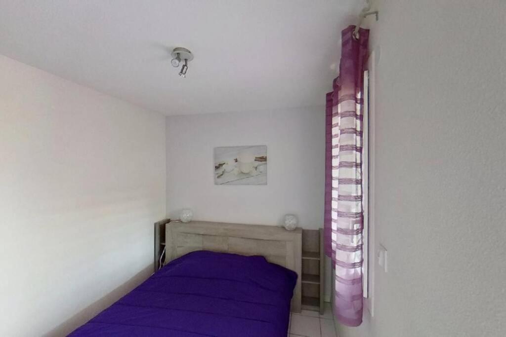 Les Goelettes - Appartement En Rdc Avec Acces Direct A La Plage Saint-Cyprien  Buitenkant foto